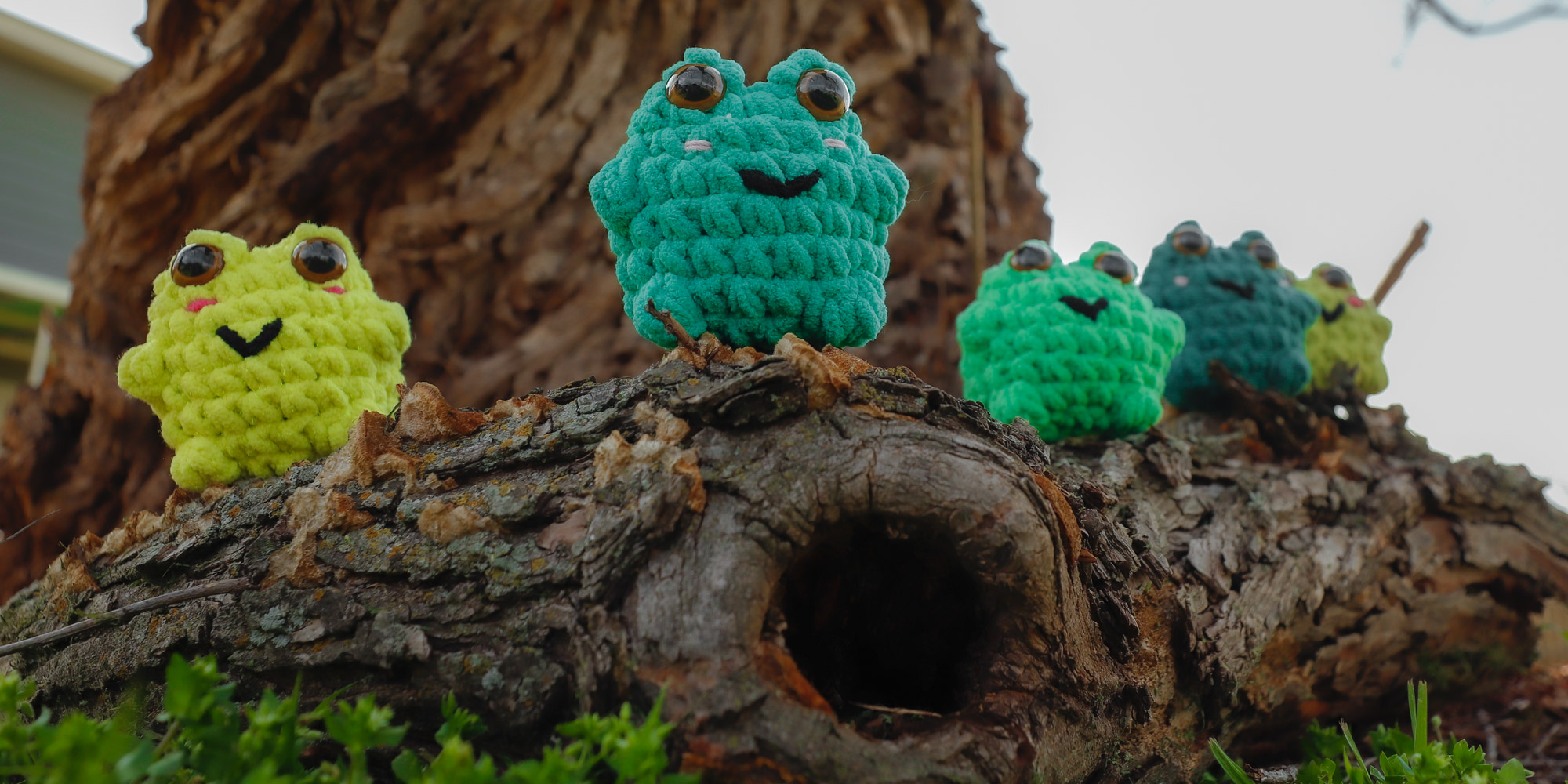 A new line of bump-textured frogs is the perfect showcase on top of an old fallen log. The rough texture of the log is reflected in the unique texture of the frogs, yet the detail captured of the frogs hints at how this texture is somehow also soft and squeezable.